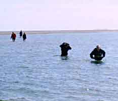 Schier, op naar de volgende zandbank lopend of zwemmend, 29-9-2002