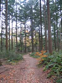 Herikerberg, Markelo 9-11-2008