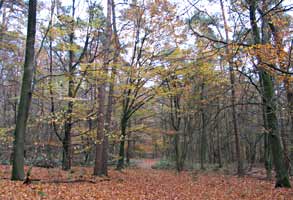 Herikerberg, Markelo 9-11-2008