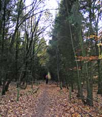 Herikerberg, Markelo 9-11-2008