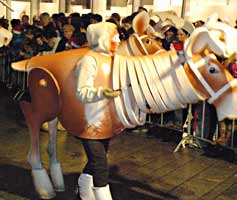 Sbs6 kerstparade, een paard, Almere 23-12-2008