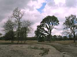 De Borkeld, Markelo, 7-6-2009