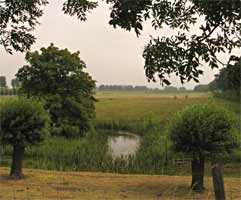 Landschap, Pad in de Zak, 27-6-2009