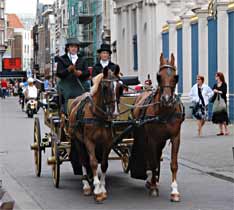 Paard en wagen bij paleis Noordeinde, 11-7-2009