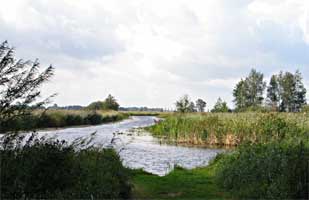 Mooi uitzicht vlakbij het bruggetje, Kalenberg 4-9-2009