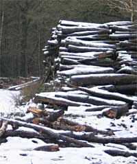 Opgestapeld hout nabij Waalre, 27-12-2009