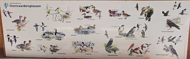 De vogelzoekkaart in de Zeearend, Lelystad 1-1-2010