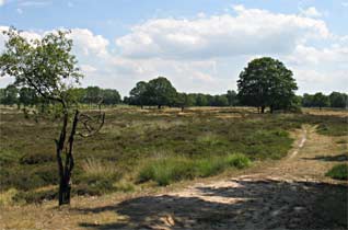 Heide, De Wildenberg 14-7-2010