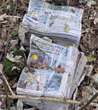 Oude kranten, Almere 30-10-2010