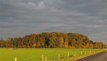 Zicht op bos bij Emmaus nabij Velp, 31-10-2010